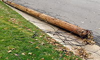 Downed power line