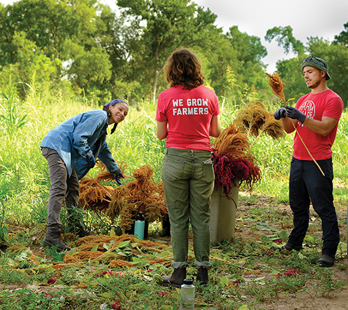 Farmshare