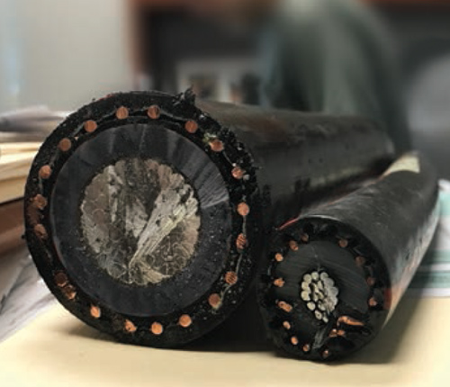 (Joe Stafford photo) DISTRIBUTION CABLES: These thick cables, left, carry power using a conductive aluminum center. It is protected and strengthened by layers of other materials, including water-blocking substances and sunlight-resistant polyethylene.