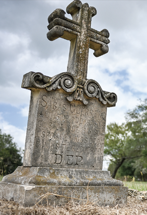 cemeterio de rio