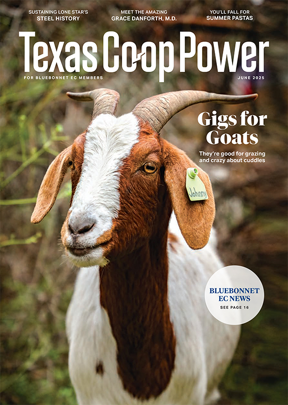 TCP june 2025 edition