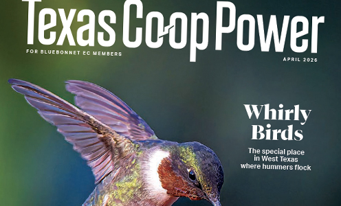 apr 2026 tcp magazine cover