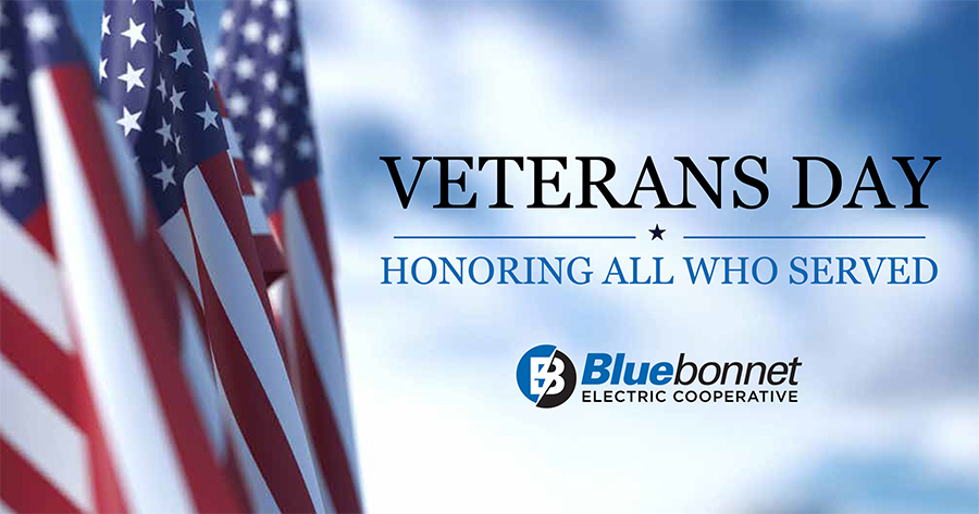 Honoring Bluebonnet's veterans