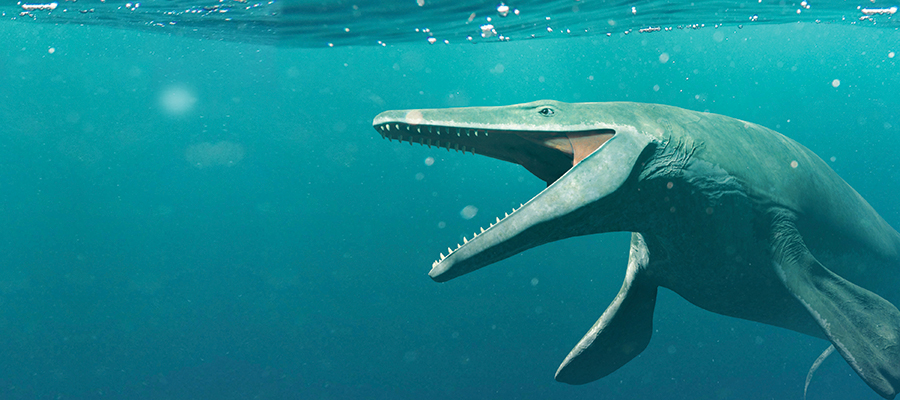 Mosasaur