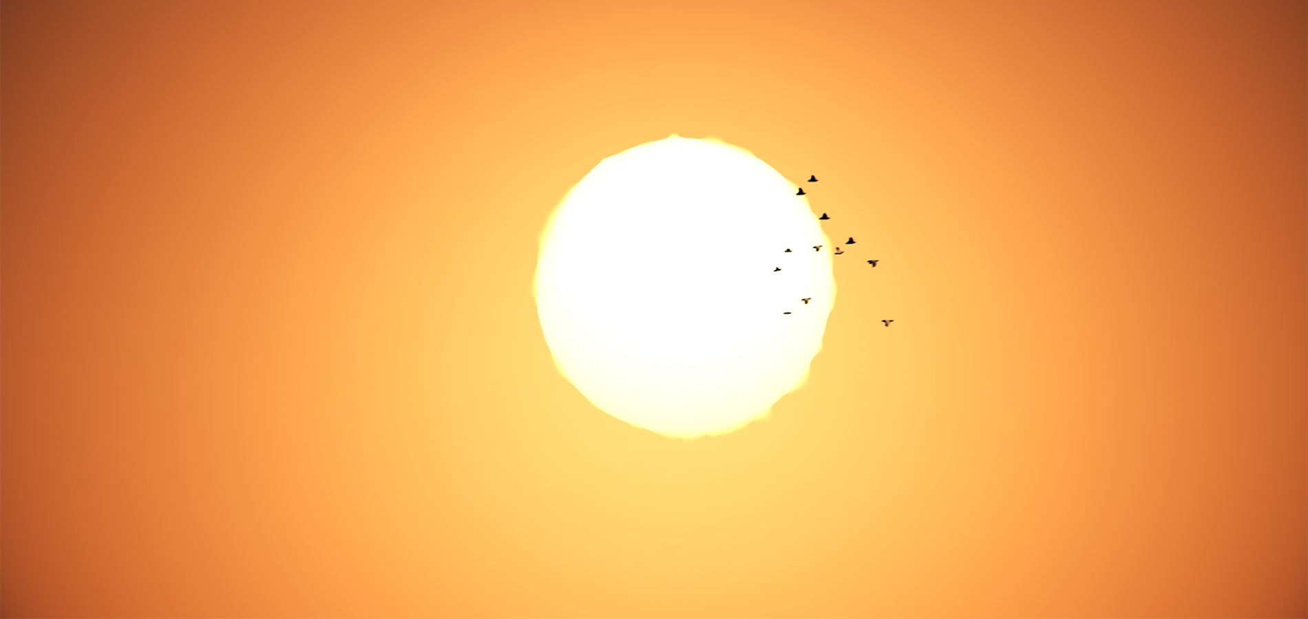 Sun with birds