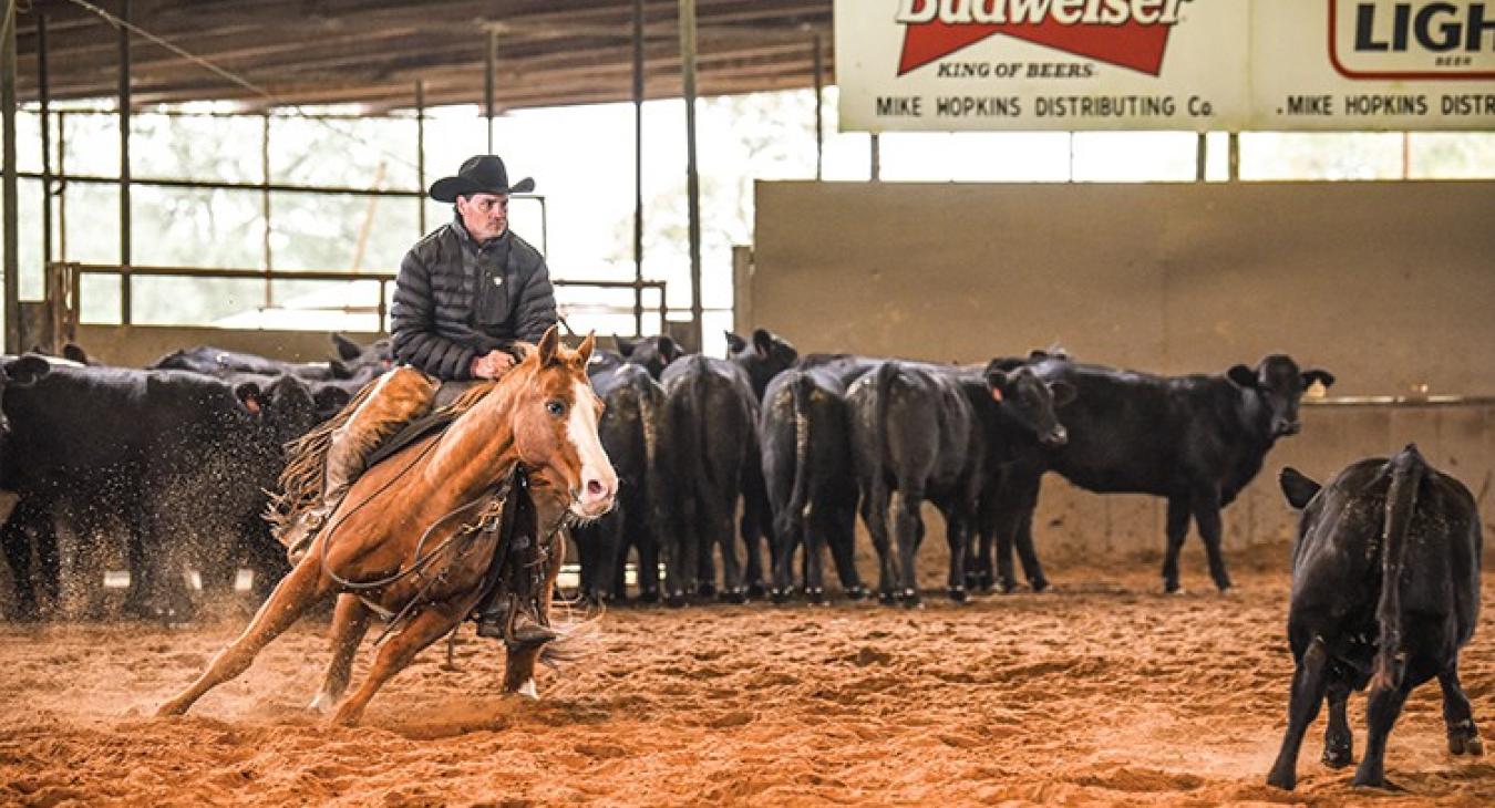 What does it take to make a world champion ‘cutter’? Experience, dedication and a well-trained horse with cow sense.