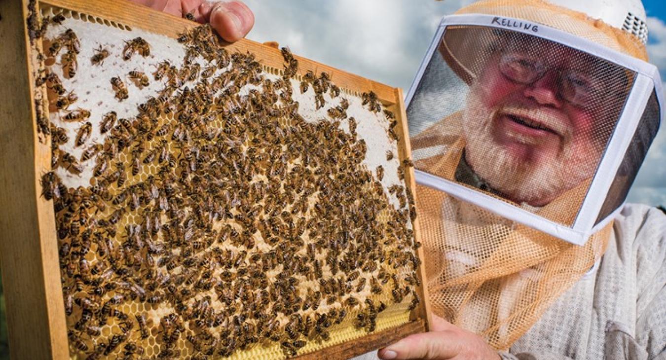 “Beekeepers tend to be 60 to 70 years old, and cannot continue to keep bees forever,” said Michael Kelling of Brenham, president of the Central Texas Beekeepers Association. “So we are trying to get the youth interested in beekeeping because of beekeeping’s importance to our world.” Photo by Sarah Beal