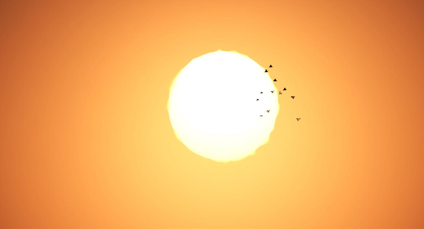 Sun with birds