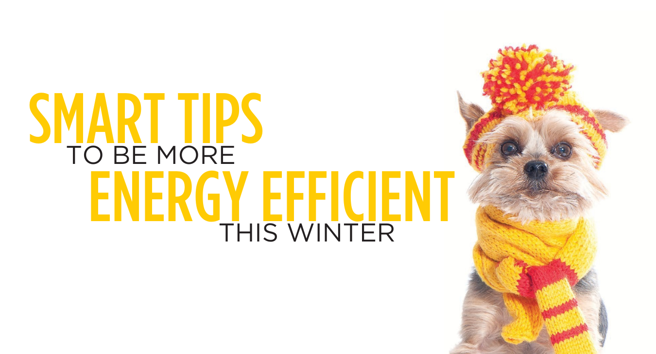 9 tips to be more energy efficient 