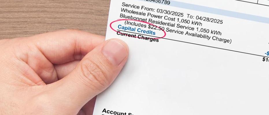 capital credit on member bill
